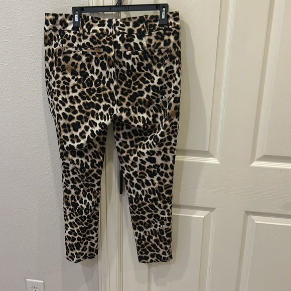 Leopard Print Pants - Picture 5 of 6